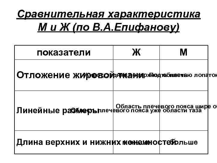 Сравнительная характеристика М и Ж (по В. А. Епифанову) показатели Ж М Живот, задняя