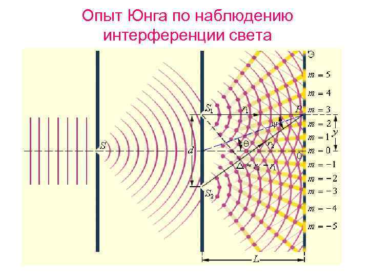 Опыт Юнга по наблюдению интерференции света 