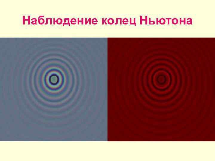 Наблюдение колец Ньютона 