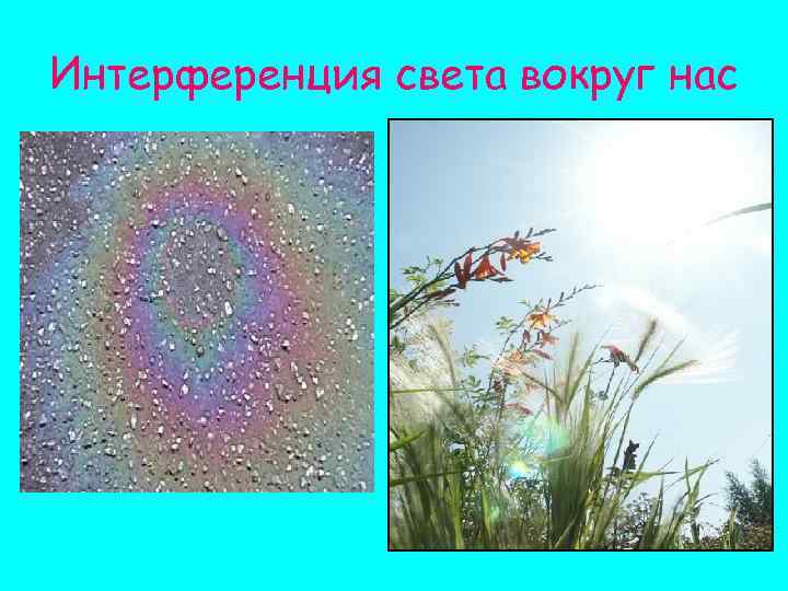 Интерференция света вокруг нас 