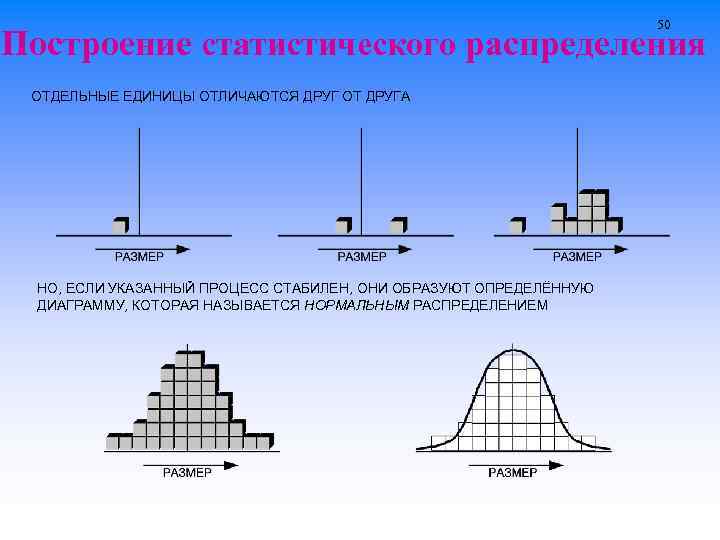 Графическое изображение распределения. Статистические построения. Построить статистическое распределение. Различные распределения. Построить статическое распределение это.