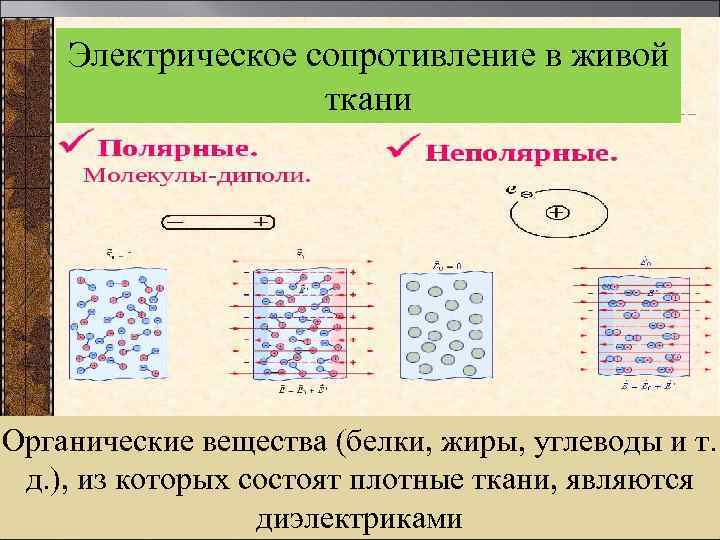  Электрическое сопротивление в живой ткани Органические вещества (белки, жиры, углеводы и т. д.