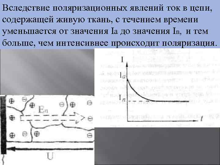 Вследствие поляризационных явлений ток в цепи, содержащей живую ткань, с течением времени уменьшается от