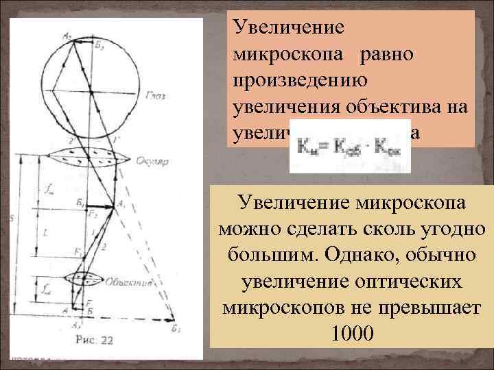 Увеличение окуляра микроскопа. Увеличение оптического микроскопа определяется:. Формула увеличения оптического микроскопа. Как определяется увеличение оптического микроскопа. Максимальное увеличение микроскопа.