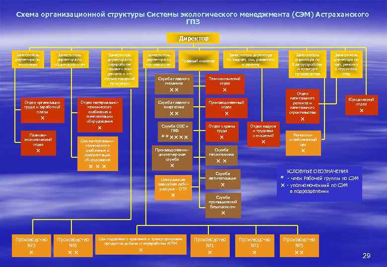 Схема организационной структуры Системы экологического менеджмента (СЭМ) Астраханского ГПЗ Директор Заместитель директора по экономике