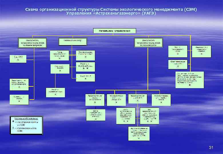 Структура управление охраной окружающей среды