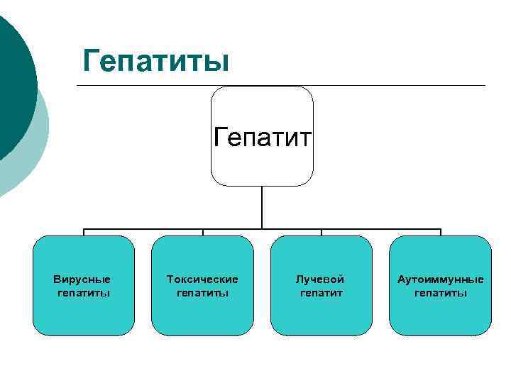 Гепатиты Гепатит Вирусные гепатиты Токсические гепатиты Лучевой гепатит Аутоиммунные гепатиты 