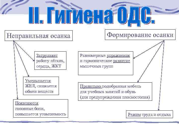 Неправильная осанка Затрудняет работу лёгких, сердца, ЖКТ Уменьшается ЖЕЛ, снижается обмен веществ Появляются головные