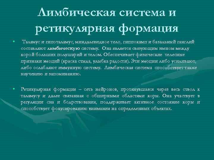 Лимбическая система и ретикулярная формация • Таламус и гипоталамус, миндалевидное тело, гиппокамп и базальный