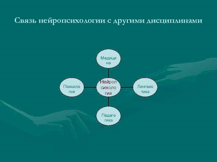 Связь нейропсихологии с другими науками схема