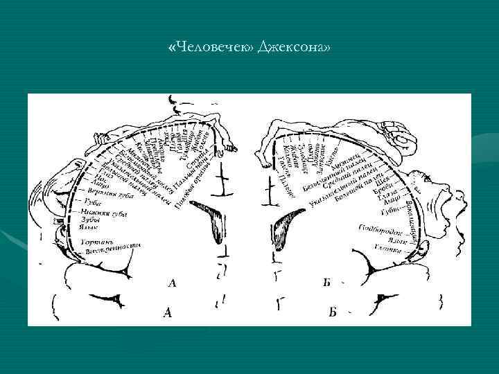  «Человечек» Джексона» 