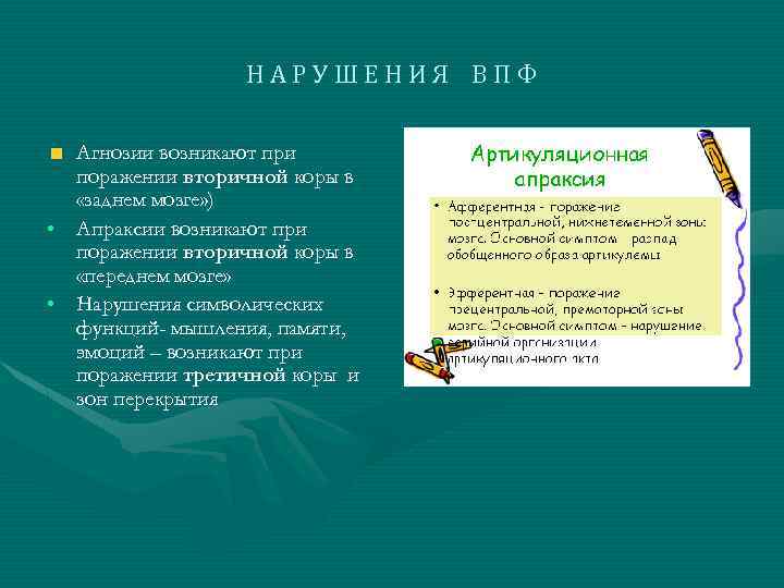 НАРУШЕНИЯ ВПФ Агнозии возникают при поражении вторичной коры в «заднем мозге» ) • Апраксии