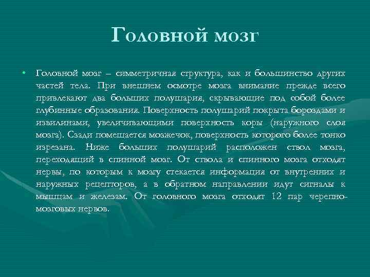 Головной мозг • Головной мозг – симметричная структура, как и большинство других частей тела.
