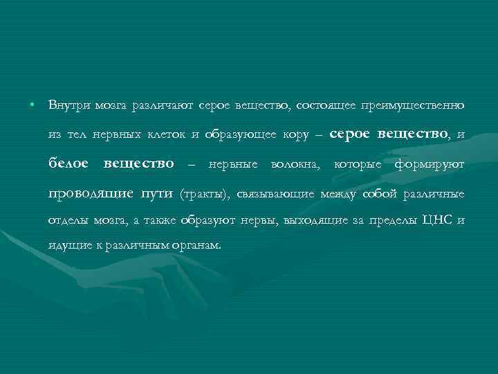  • Внутри мозга различают серое вещество, состоящее преимущественно из тел нервных клеток и