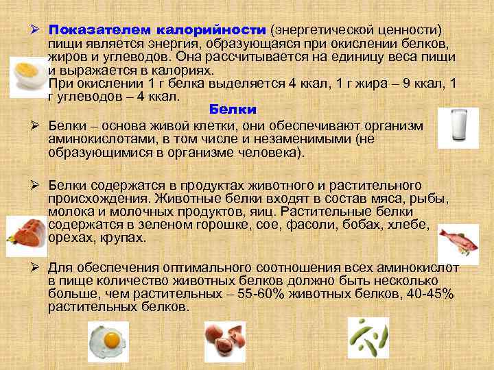 Ø Показателем калорийности (энергетической ценности) пищи является энергия, образующаяся при окислении белков, жиров и