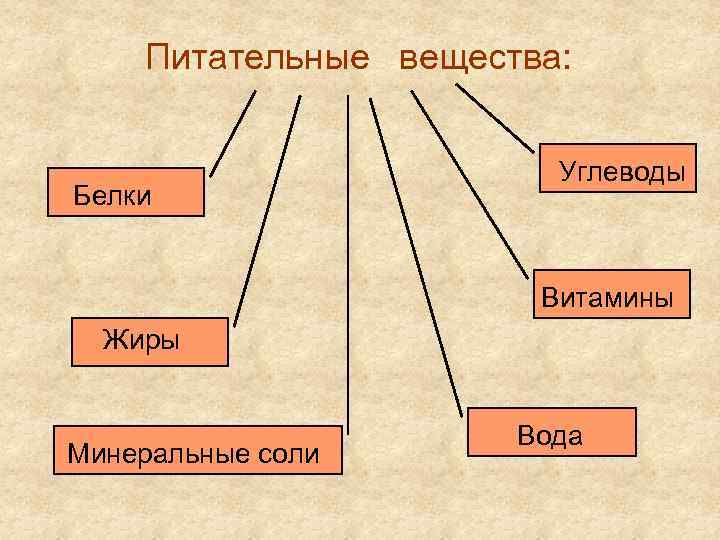 Питательные вещества: Белки Углеводы Витамины Жиры Минеральные соли Вода 