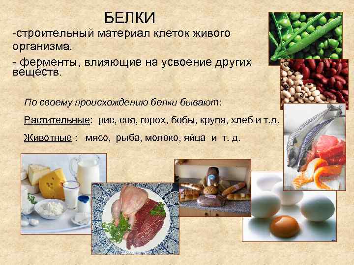 БЕЛКИ -строительный материал клеток живого организма. - ферменты, влияющие на усвоение других веществ. По