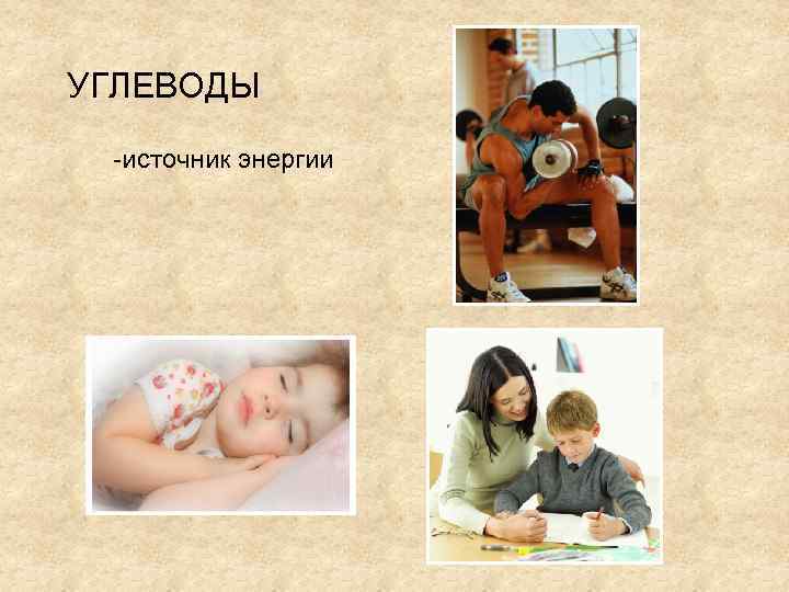 УГЛЕВОДЫ -источник энергии 