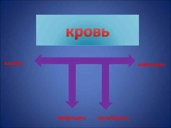 кровь плазма лейкоциты эритроциты тромбоциты 