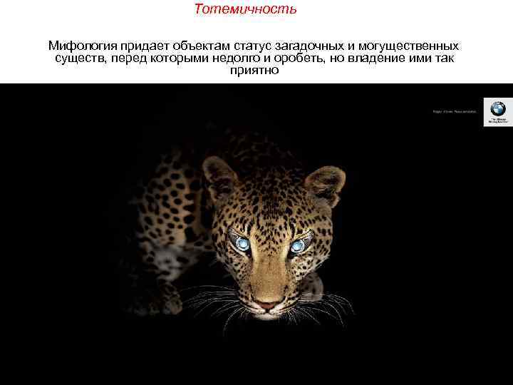 Тотемичность Мифология придает объектам статус загадочных и могущественных существ, перед которыми недолго и оробеть,