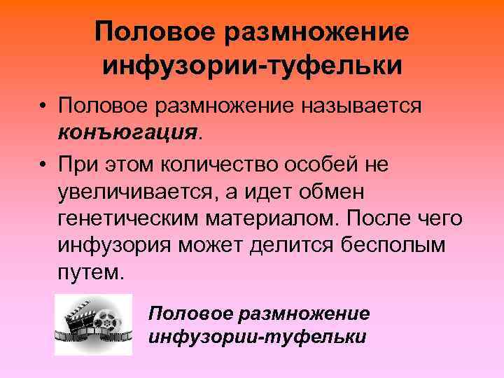   Половое размножение инфузории-туфельки • Половое размножение называется  конъюгация.  • При