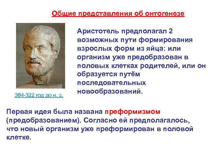 Общие представления об онтогенезе 384 -322 год до н. э. Аристотель предполагал 2 возможных