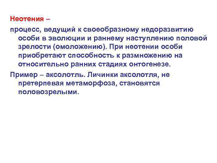 Ведущий процесс. Неотения у человека. Неотения примеры. Неотения у животных это. Примеры неотения в биологии.