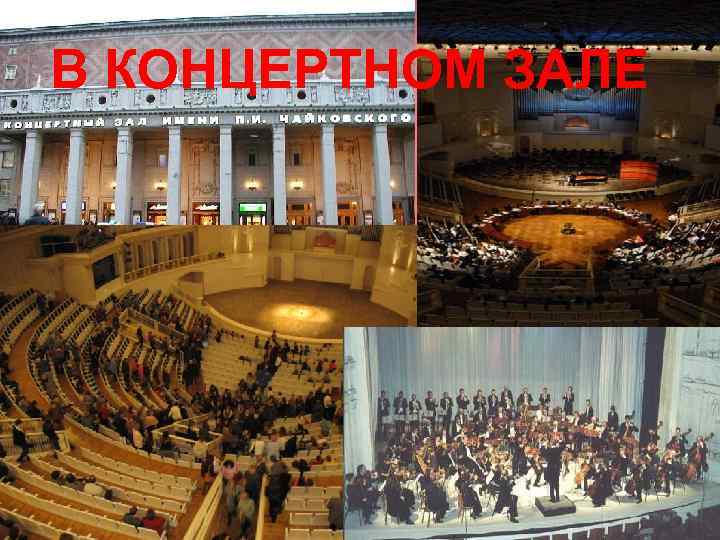 В КОНЦЕРТНОМ ЗАЛЕ 