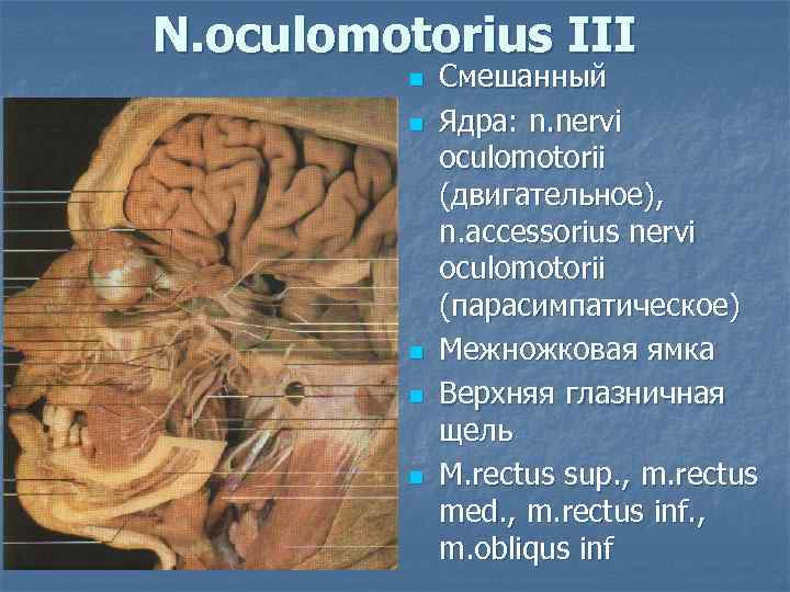 N. oculomotorius III n n n Смешанный Ядра: n. nervi oculomotorii (двигательное), n. accessorius