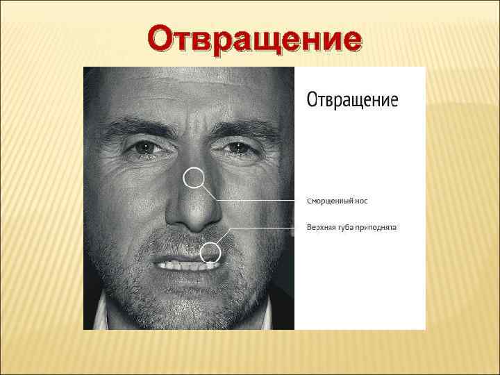 Отвращение 