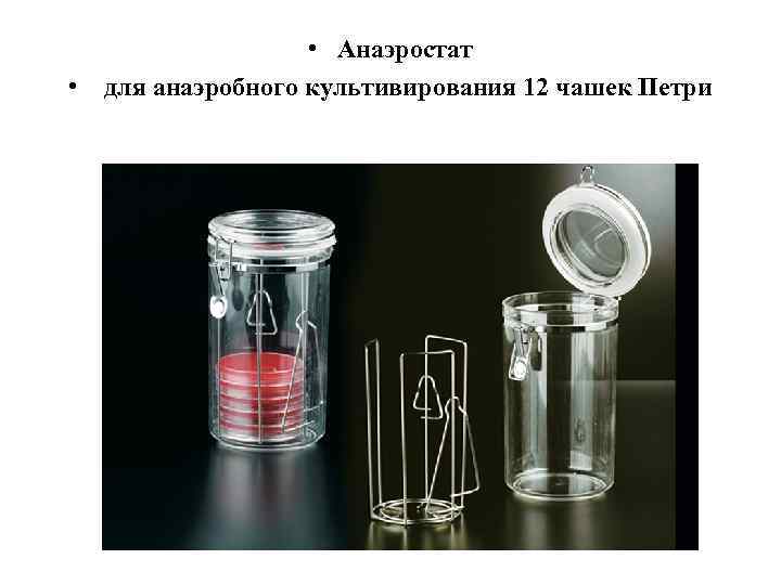 • Анаэростат • для анаэробного культивирования 12 чашек Петри 