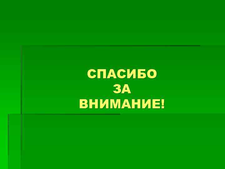 СПАСИБО ЗА ВНИМАНИЕ! 