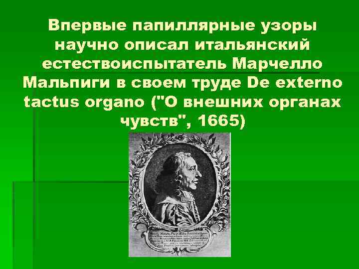 Впервые папиллярные узоры научно описал итальянский естествоиспытатель Марчелло Мальпиги в своем труде De externo