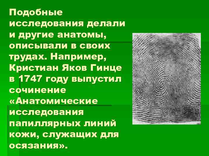 Подобные исследования делали и другие анатомы, описывали в своих трудах. Например, Кристиан Яков Гинце