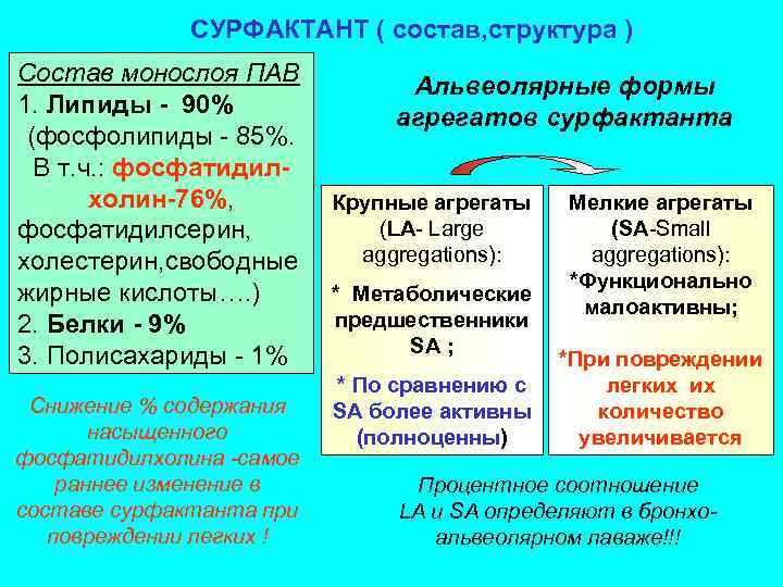 СУРФАКТАНТ ( состав, структура ) Состав монослоя ПАВ 1. Липиды - 90% (фосфолипиды -