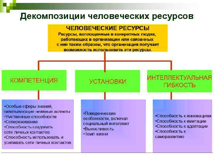 Декомпозиции человеческих ресурсов 