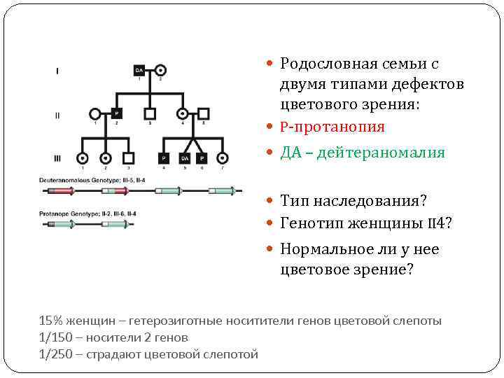 Генотип 35 39. Ночная слепота Тип наследования. Гемералопия Тип наследования. Куриная слепота Тип наследования. Катаракта Тип наследования.