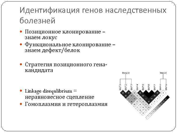 Идентификация генов наследственных болезней Позиционное клонирование – знаем локус Функциональное клонирование – знаем дефект/белок