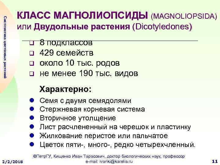 Систематика цветковых растений КЛАСС МАГНОЛИОПСИДЫ (MAGNOLIOPSIDA) или Двудольные растения (Dicotyledones) q q 8 подклассов
