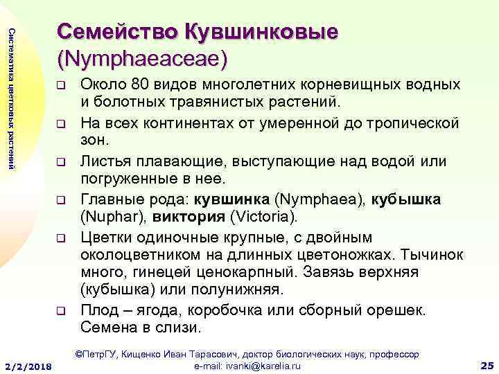 Систематика цветковых растений Семейство Кувшинковые (Nymphaeaceae) q q q 2/2/2018 Около 80 видов многолетних