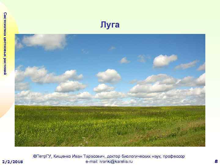 Систематика цветковых растений 2/2/2018 Луга ©Петр. ГУ, Кищенко Иван Тарасович, доктор биологических наук, профессор