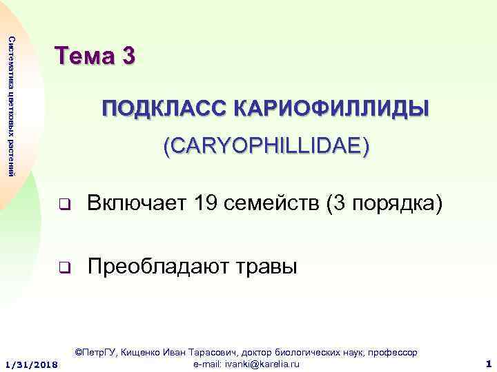 Систематика цветковых растений Тема 3 ПОДКЛАСС КАРИОФИЛЛИДЫ (CARYOPHILLIDAE) q q 1/31/2018 Включает 19 семейств