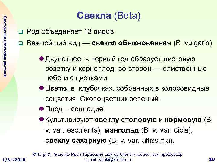 Систематика цветковых растений Свекла (Beta) q Род объединяет 13 видов q Важнейший вид —