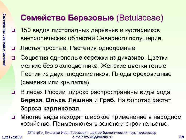 Систематика цветковых растений Семейство Березовые (Betulaceae) q 150 видов листопадных деревьев и кустарников внетропических