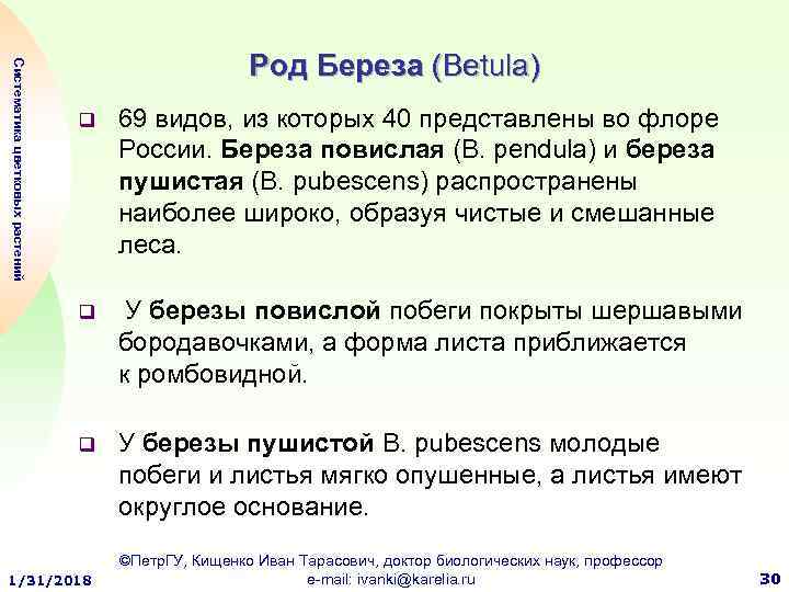 Систематика цветковых растений Род Береза (Betula) q 69 видов, из которых 40 представлены во