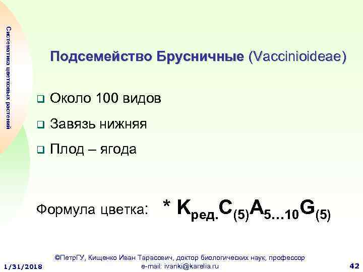 Систематика цветковых растений Подсемейство Брусничные (Vaccinioideae) q Около 100 видов q Завязь нижняя q