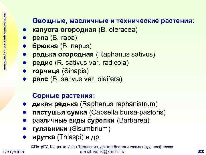 Систематика цветковых растений ● ● ● ● Овощные, масличные и технические растения: капуста огородная