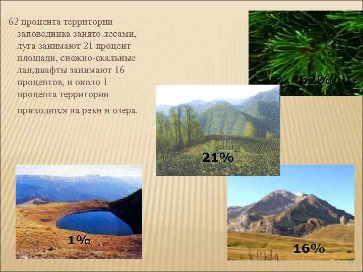 62 процента территории заповедника занято лесами, луга занимают 21 процент площади, снежно-скальные ландшафты занимают