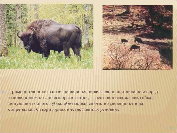  Примерно за полстолетия решена основная задача, поставленная перед заповедником со дня его организации,