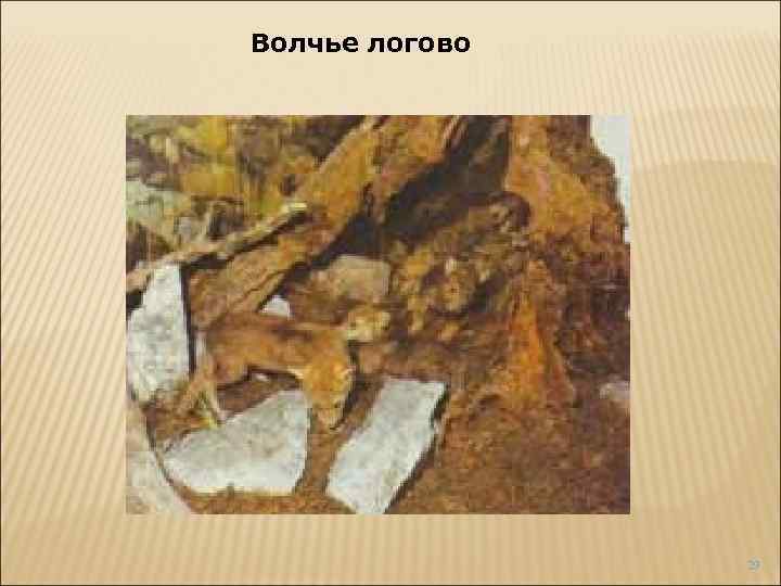 Волчье логово 29 